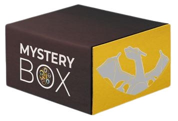 Pokémon – Mystery Boxen mit Glurak Premium Kollektion?